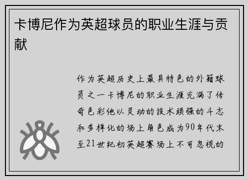 卡博尼作为英超球员的职业生涯与贡献