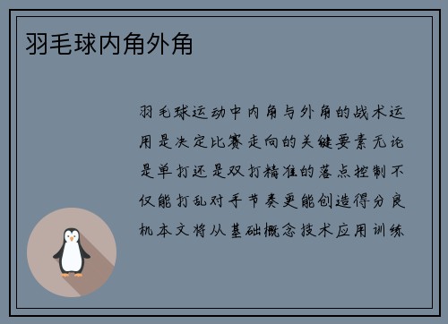 羽毛球内角外角